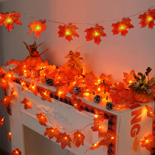 Herbst Blätter Beleuchtung